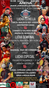 source: https://luchadb.com/posters/uploads/20250615A/684f50f7a8e92.png
