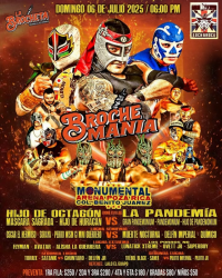 source: https://luchadb.com/posters/uploads/20250617/6850dd343e169.png