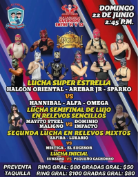 source: https://luchadb.com/posters/uploads/20250623/68594f00d1faa.png