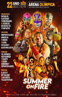 source: https://luchadb.com/posters/uploads/20250623/68594f942107d.png