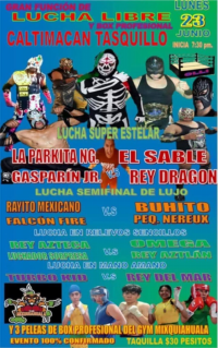 source: https://luchadb.com/posters/uploads/20250623/685969706bce1.png