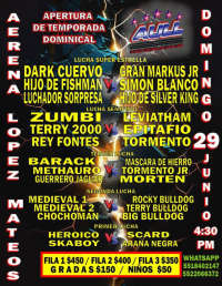 source: https://luchadb.com/posters/uploads/20250623/6859a78001585.png