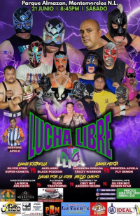 source: https://luchadb.com/posters/uploads/20250623/685955b2a4895.png