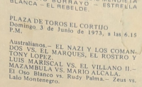 source: https://luchadb.com/posters/uploads/19730601BYL_1076/05.png