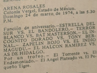 source: https://luchadb.com/posters/uploads/19740322BYL_1118/10.png