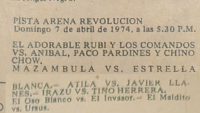 source: https://luchadb.com/posters/uploads/19740405BYL_1120/06.png