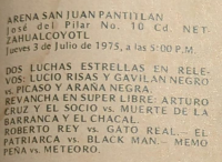 source: https://luchadb.com/posters/uploads/19750704-BYL_1185(Rob).pdf.extracted_images/02.png