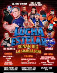 source: https://luchadb.com/posters/uploads/20250625A/685b7b6483cfe.png