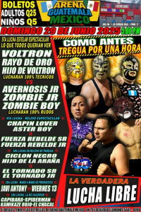 source: https://luchadb.com/posters/uploads/20250625A/685c08448139f.png