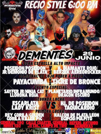 source: https://luchadb.com/posters/uploads/20250625A/685c084d2a4c4.png