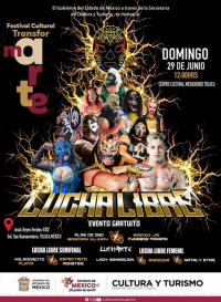 source: https://luchadb.com/posters/uploads/20250625A/685c29dc50fd3.png