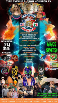 source: https://luchadb.com/posters/uploads/20250627/685e09dc071c7.png