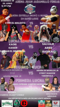 source: https://luchadb.com/posters/uploads/20250627/685eb5c70df7a.png
