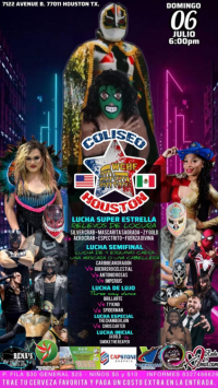 source: http://luchadb.com/posters/uploads/20250703C/686734dd4cd59.png