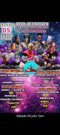 source: http://luchadb.com/posters/uploads/20250704A/68682bc6cae15.png