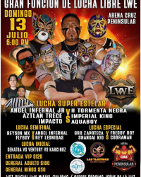 source: http://luchadb.com/posters/uploads/20250704A/68682c20a7104.png