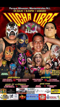 source: http://luchadb.com/posters/uploads/20250706B/686ac8de1f813.png