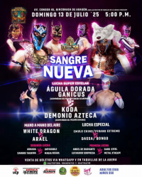 source: http://luchadb.com/posters/uploads/20250708A/686d3b7d00696.png