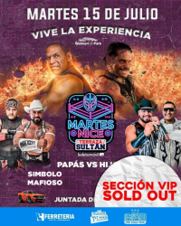 source: http://luchadb.com/posters/uploads/20250714A/68750600caa69.png