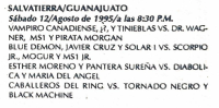 source: http://luchadb.com/posters/uploads/19950811%20-%20BYL_2213%20%28Rob%29.pdf.extracted_images/16.png