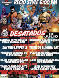 source: http://luchadb.com/posters/uploads/20250710A/686fce52dba2e.png