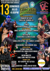 source: http://luchadb.com/posters/uploads/20250713C/6874545c9a16c.png