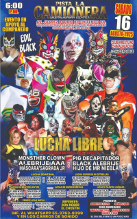 source: http://luchadb.com/posters/uploads/20250715A/687694b931006.png