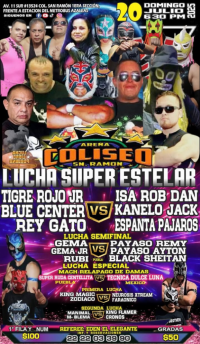 source: http://luchadb.com/posters/uploads/20250715A/68769749d6676.png