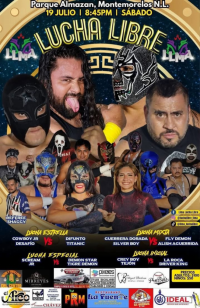 source: http://luchadb.com/posters/uploads/20250719A/687c008995459.png