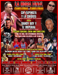 source: http://luchadb.com/posters/uploads/20250723D/688172aa5b7cd.png