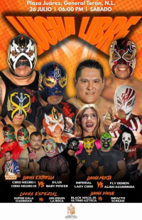source: http://luchadb.com/posters/uploads/20250727A/688645c9d22ed.png