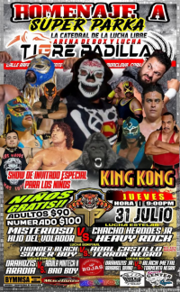 source: http://luchadb.com/posters/uploads/20250727B/68864628d965b.png