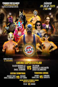 source: http://luchadb.com/posters/uploads/20250727C/688647833827f.png