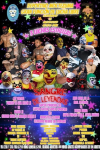 source: http://luchadb.com/posters/uploads/20250728B/688822d8c90ef.png