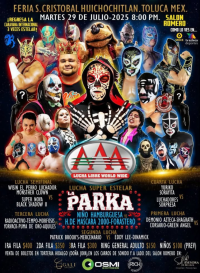 source: http://luchadb.com/posters/uploads/20250728B/688822da513ca.png