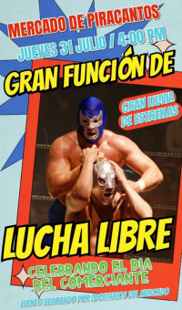 source: http://luchadb.com/posters/uploads/20250729B/688992585c58f.png