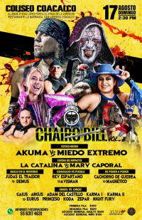 source: http://luchadb.com/posters/recycle_bin/688c3a25ab2a2.png