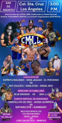 source: http://luchadb.com/posters/uploads/20250802A/688e339b32176.png