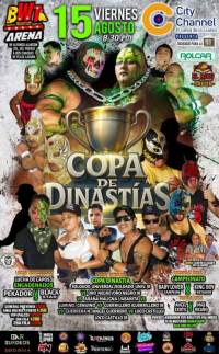 source: http://luchadb.com/posters/uploads/20250803A/688fcd6b22811.png