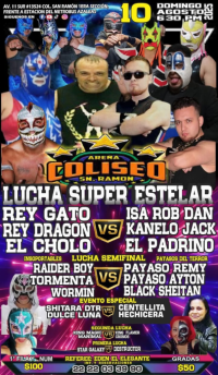 source: http://luchadb.com/posters/uploads/20250805A/68922453c6648.png
