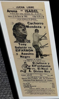 source: http://luchadb.com/posters/uploads/isabel/11-1.png