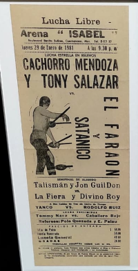 source: http://luchadb.com/posters/uploads/isabel/11-2.png