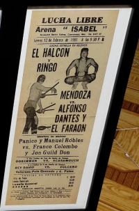 source: http://luchadb.com/posters/uploads/isabel/11-4.png