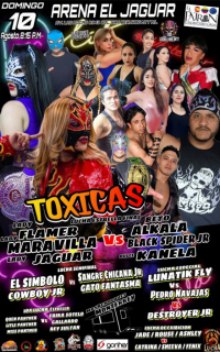 source: http://luchadb.com/posters/uploads/20250810A/6898fe2988361.png