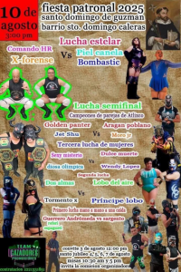 source: http://luchadb.com/posters/uploads/20250811B/6899ff21e2b4b.png