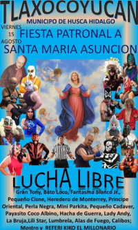 source: http://luchadb.com/posters/uploads/20250811B/689a01a60fb02.png