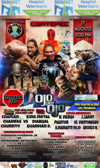 source: http://luchadb.com/posters/uploads/20250817A/68a1e23da7137.png