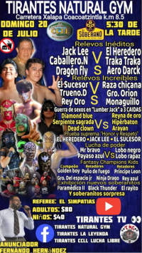 source: http://luchadb.com/posters/uploads/20250818B/68a37844ef752.png