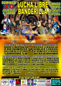 source: http://luchadb.com/posters/uploads/20250819A/68a48d9a3dfbd.png