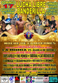 source: http://luchadb.com/posters/uploads/20250819A/68a485d3db943.png